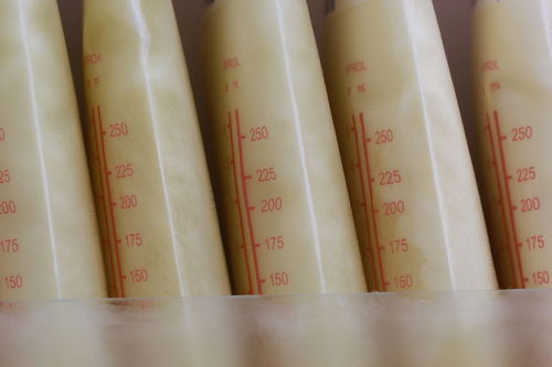 保定红星宣纸 传统与创新的交融——不干胶纸防伪技术开发与销售新篇章